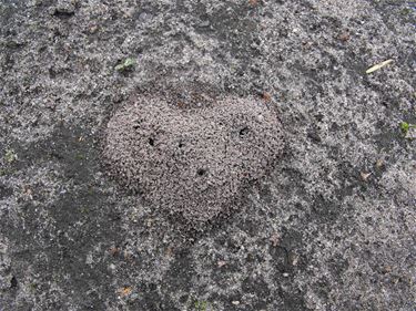 Een hartje in het zand