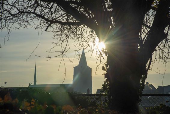 Een hele lading herfstfoto's - Lommel