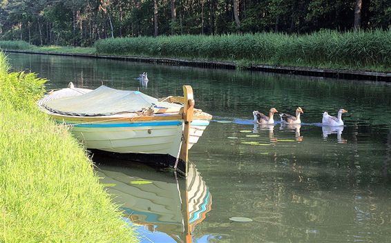 Een idyllisch beeld - Lommel