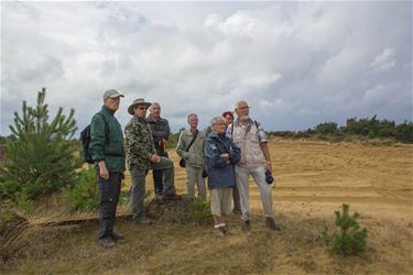 Een kijk op de heide - Beringen