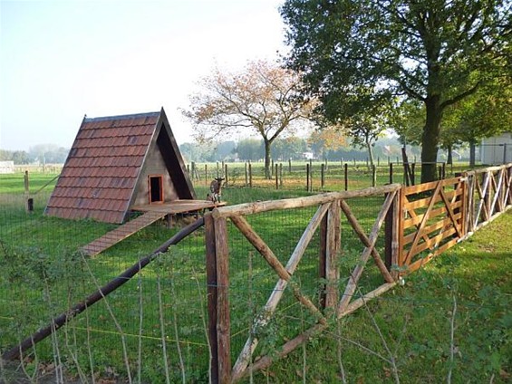 Een kinderboerderij in Meeuwen - Meeuwen-Gruitrode