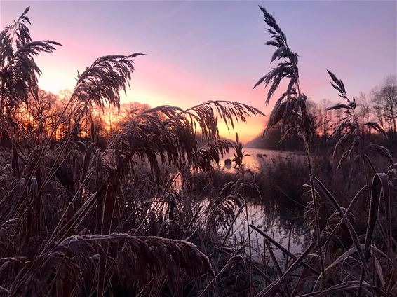 Een koude ochtend in Lozen - Bocholt