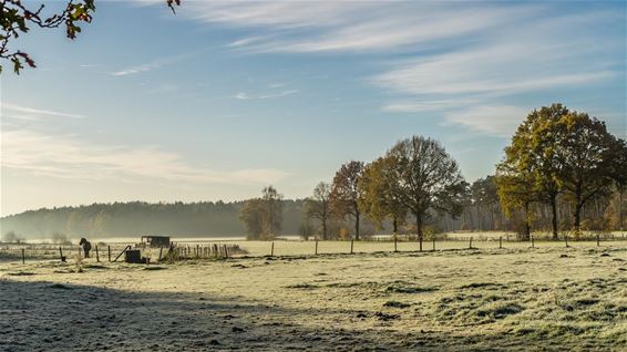 Een koude ochtend op de Hoeven - Overpelt