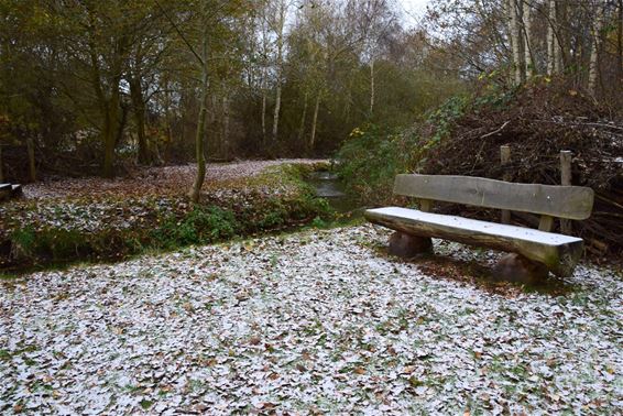Een laagje sneeuw rond de Dommel - Peer