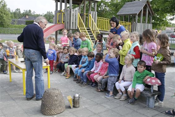 Een les over bijen in Lommel-West - Lommel