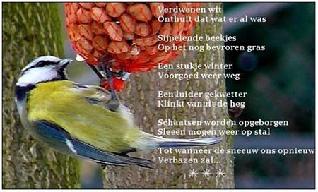 Een meesje, pinda's en een gedicht - Hamont-Achel