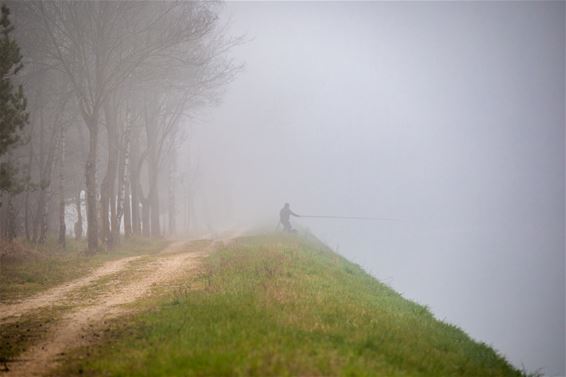 Een mistige ochtend - Lommel