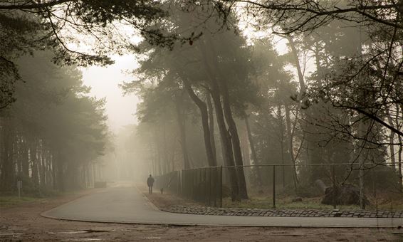 Een mistige ochtend - Lommel