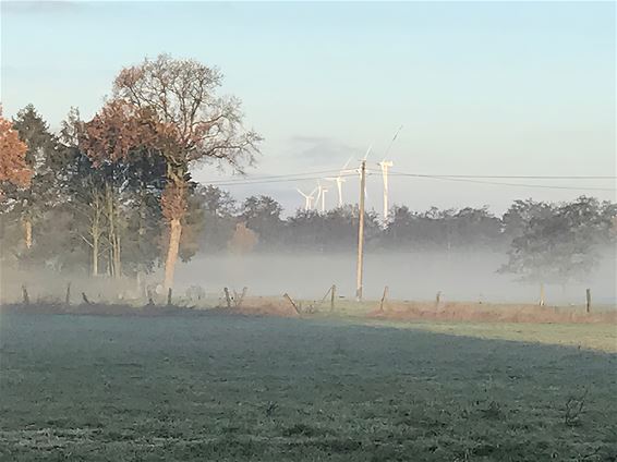 Een mistige ochtend - Lommel