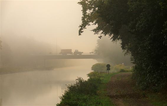 Een mistige ochtend - Lommel