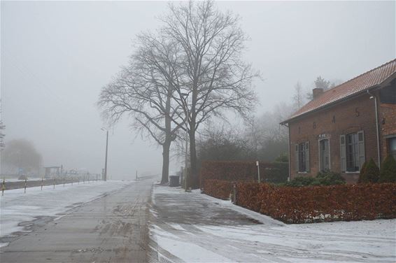 Een mistige ochtend aan de Blauwe Kei - Lommel