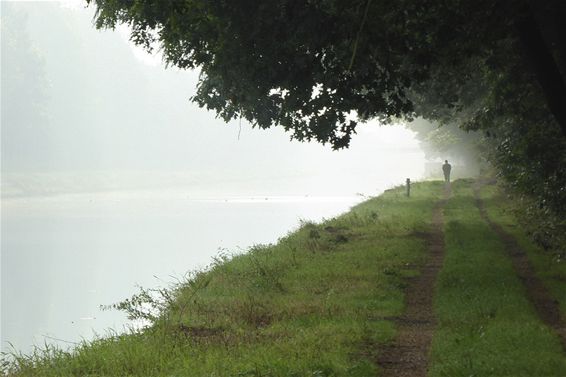 Een mistige ochtend aan het kanaal - Lommel