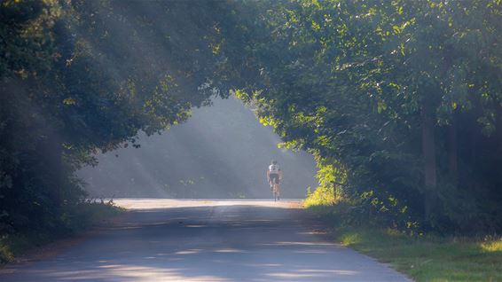 Een mistige ochtend in september - Lommel