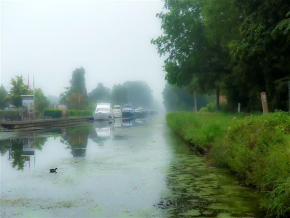 Een mistige ochtend op Kerkhoven - Lommel