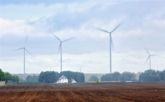 Een mistige ochtend - Lommel