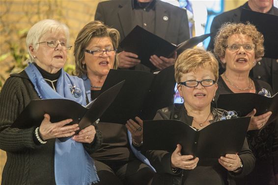 Een mooi concert op de Grote Heide - Neerpelt