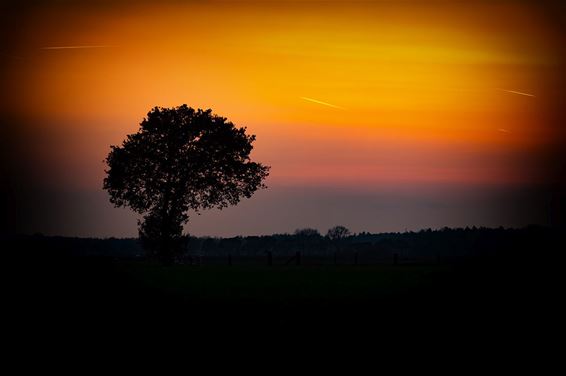 Een mooie foto van een lente-avond - Pelt