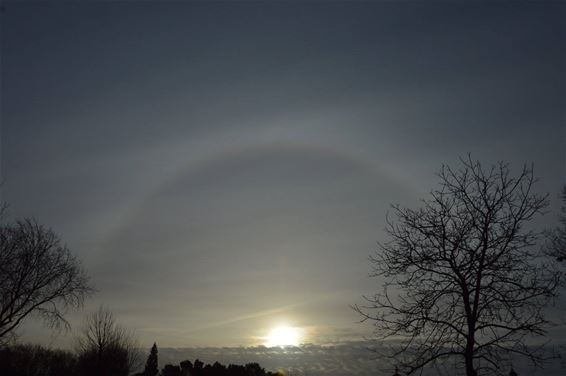 Een mooie halo boven de zon - Lommel