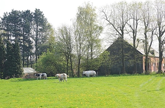 Een mooie lentedag op Gelderhorsten - Lommel