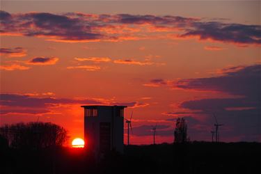 Een mooie lentezon - Beringen