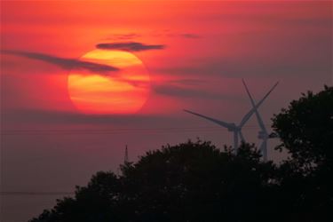 Een mooie nazomer - Beringen