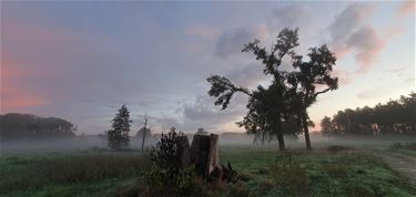 Een mooie ochtend - Beringen