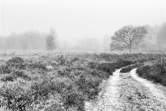 Een mooie winter - Overpelt