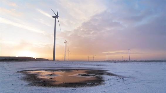 Mooie winterbeelden - Lommel