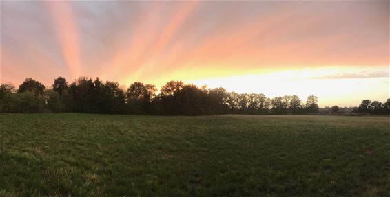 Een mooie zonsondergang - Lommel