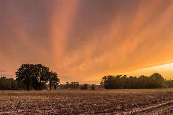 Een mooie zonsondergang vanavond - Pelt