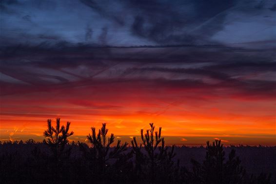 Een mooie zonsopgang... - Neerpelt