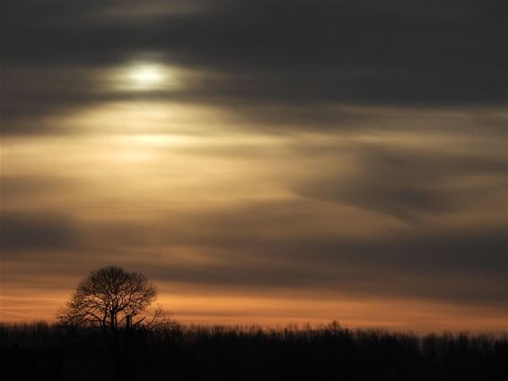 Een mooie zonsopgang... - Pelt