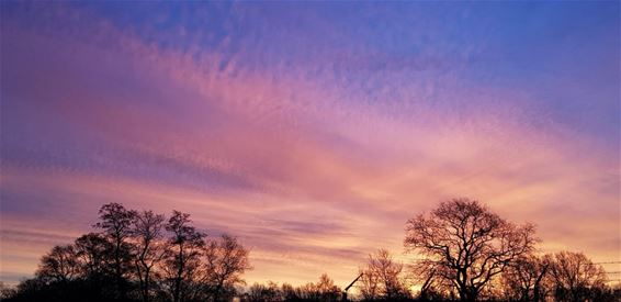 Een mooie zonsopgang - Pelt