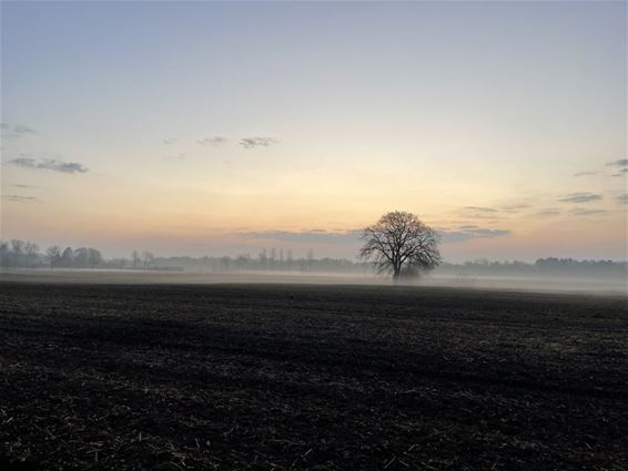 Een mooie zonsopgang in de Beersen - Hamont-Achel