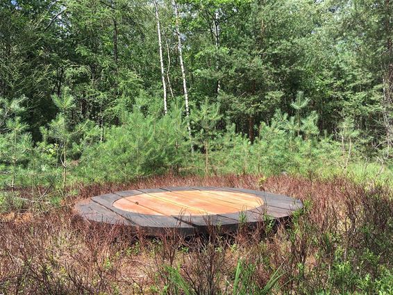 Een natuuroase in Bosland - Hechtel-Eksel & Pelt