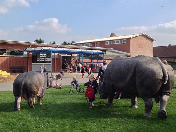 Een neushoorn op de speelplaats - Peer