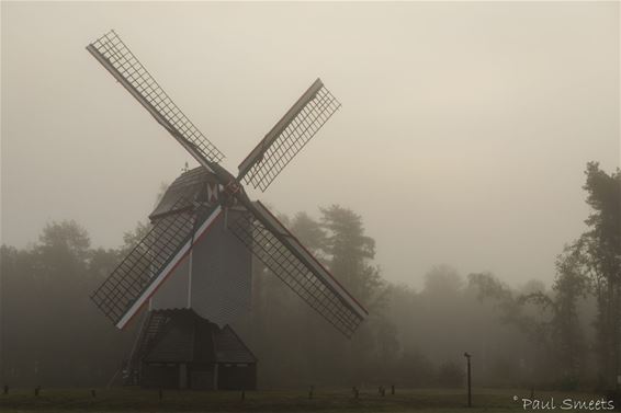 Een nevelige ochtend - Pelt