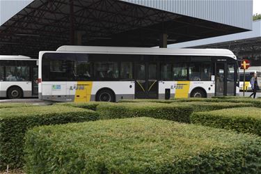 Een nieuw busnet in Leopoldsburg - Leopoldsburg