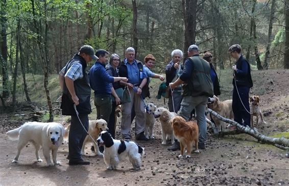 Een ochtendlijke wandeling in de Sahara - Lommel