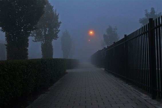 Een ochtendlijke wandeling - Lommel