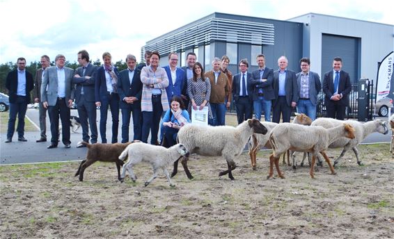 Een opvolger voor het 'Vlinderproject' - Lommel