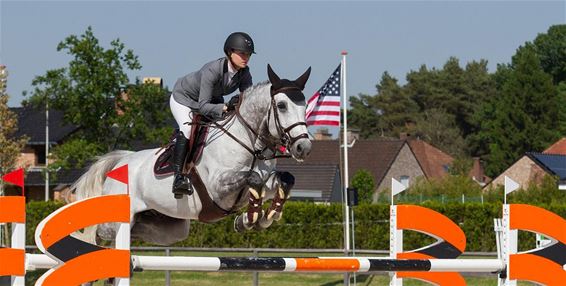 Een paard van de Hoenderikshoeve - Hechtel-Eksel