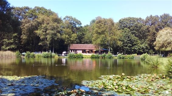 Een paradijs voor vissers en wandelaars - Hechtel-Eksel
