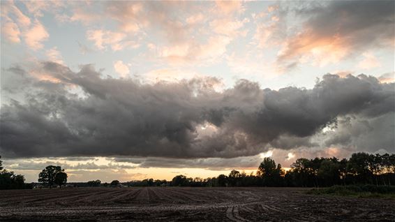 Een prachtig avondpanorama vanuit eigen tuin - Hamont-Achel