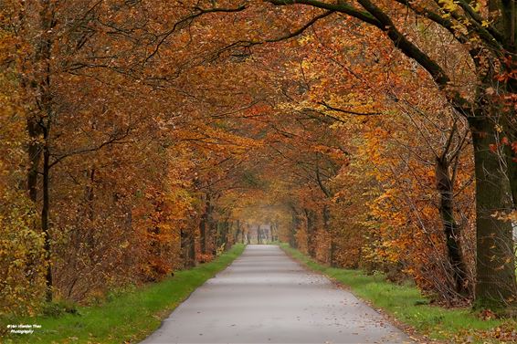 Een prachtig herfst-afdak - Hamont-Achel
