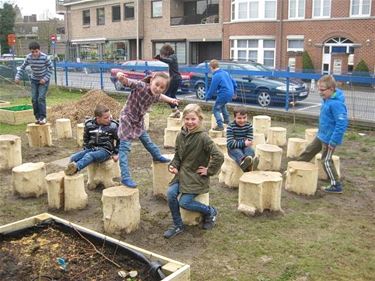 Een prachtige boomstronkzithoek - Lommel