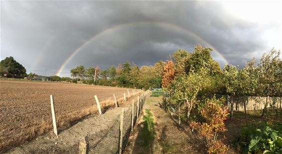 Een prachtige regenboog - Lommel