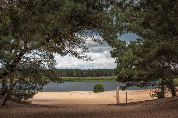 Een propere Sahara - Lommel