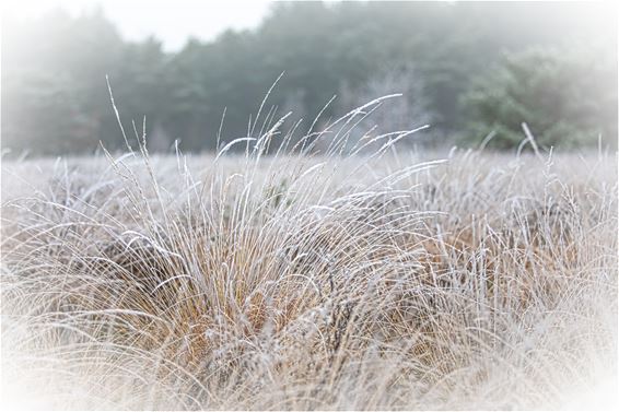 Een reeks 'koude' foto's - Lommel