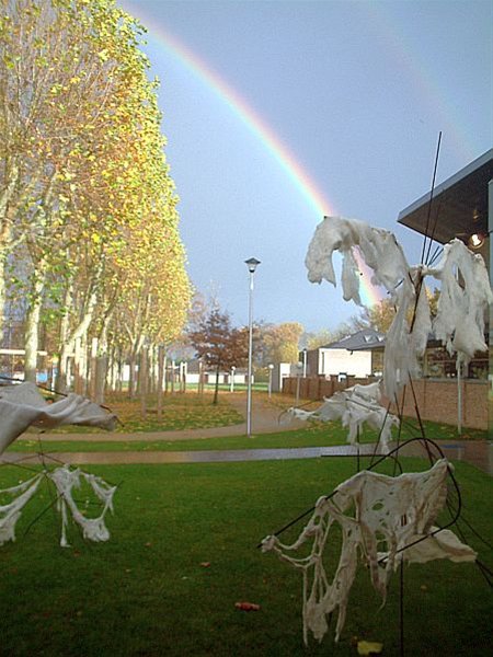 Een regenboog boven het kunstwerk - Overpelt